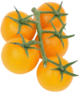 Tomaten gelb